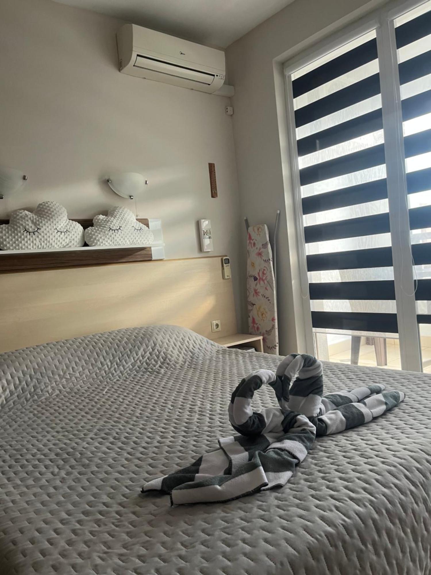 Harmony Hills Petkovi Studio Apartment 罗格其维 外观 照片